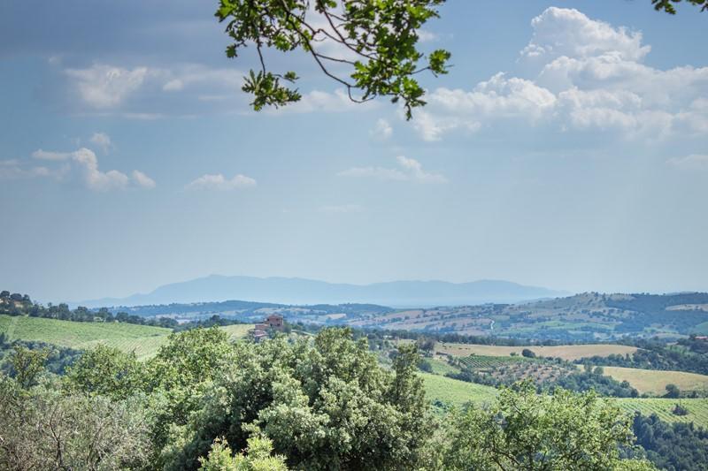 Il Troscione Villa Scansano Eksteriør bilde